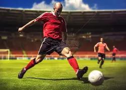 組情報,編成,戦績,MK体育平台,MK体育官方网站,MK体育登录入口,MK体育app下载