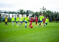 卡塔尔亚洲,杯半决赛,伊朗,MK体育平台,MK体育官方网站,MK体育登录入口,MK体育app下载