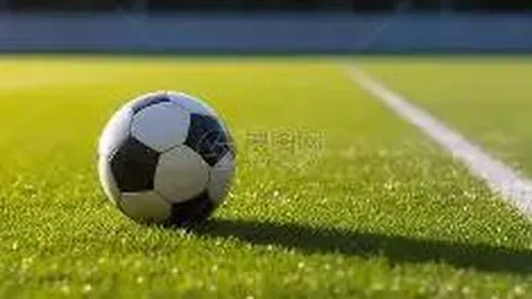 MK体育 产品 084418 gz4