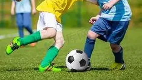 MK体育 产品 084431 zp3